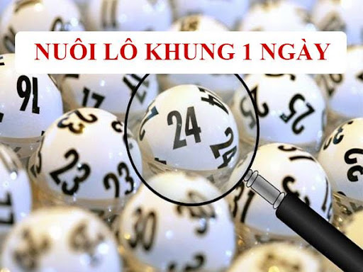 Lô Khung 1 Ngày Là Gì Và Cách Nuôi Lô Chuẩn Tại Sumvip Ltd Lô khung 1 ngày nghĩa là gì?