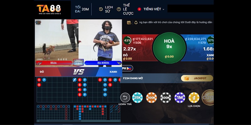 Hướng dẫn đặt cược tại Đá gà TA88